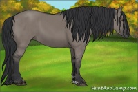 Horse Color:Grullo Brindle 