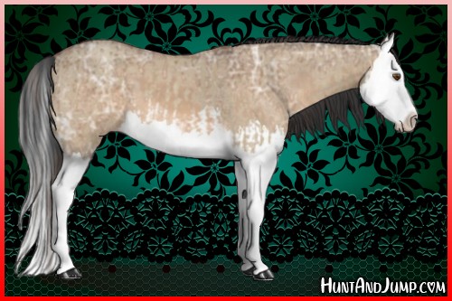 Horse Color:Classic Champagne Roan Dun Splash and Bay Ice Dun Splash