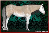 Horse Color:Classic Champagne Roan Dun Splash and Bay Ice Dun Splash