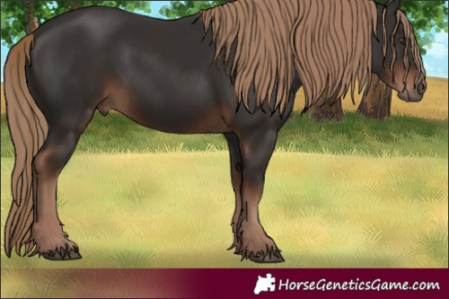 Horse Color:Liver Chestnut Rabicano 