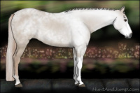 Horse Color:Gray Liver Red Dun Rabicano 