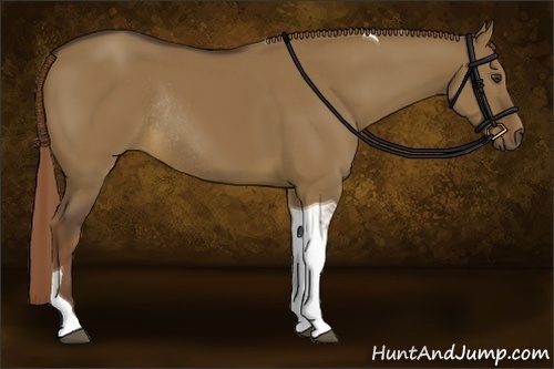 Horse Color:Liver Red Dun Tobiano Rabicano