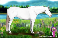 Horse Color:Black Splash Appaloosa 