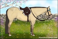 Horse Color:Amber Champagne Dun 