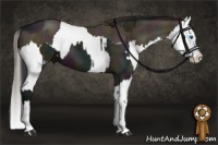 Horse Color:Midnight Grullo Sabino Splash and Midnight Amber Champagne Dun Sabino Splash