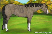 Horse Color:Smoky Grullo Sabino Splash  and Gray Smoky Grullo Sabino Splash 