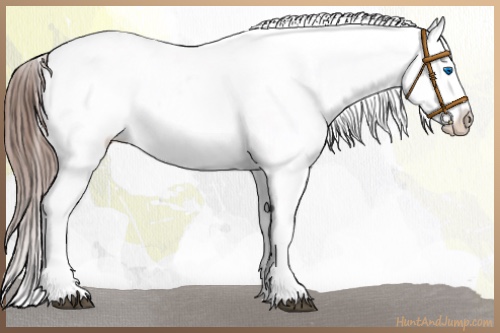 Horse Color:Grullo Sabino Splash Appaloosa  and Grullo Sabino Splash Frame Appaloosa 