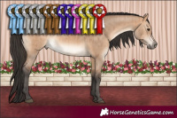 Horse Color:Brown Dun Mushroom Brindle 