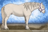 Horse Color:Smoky Creme 