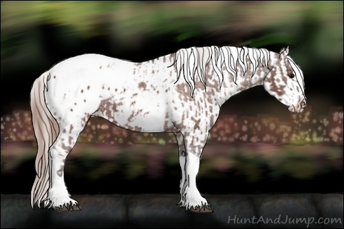 Horse Color:White Spotted Silver Brown Tobiano Appaloosa  and White Spotted Sable Champagne Tobiano Appaloosa 