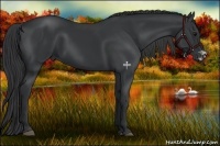 Horse Color:Black Frame 