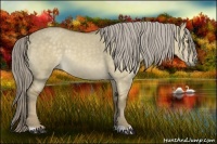 Horse Color:Chocolate Palomino Dun 