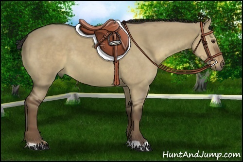 Horse Color:Liver Red Dun