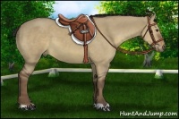 Horse Color:Liver Red Dun