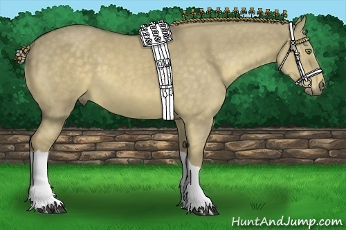 Horse Color:Chocolate Palomino Dun 