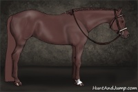 Horse Color:Chocolate Black Chinchilla 