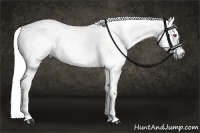 Horse Color:Liver Chestnut Chinchilla 