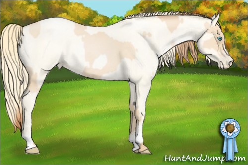 Horse Color:Buckskin Roan Pearl  and Amber Cream Champagne Roan Pearl 
