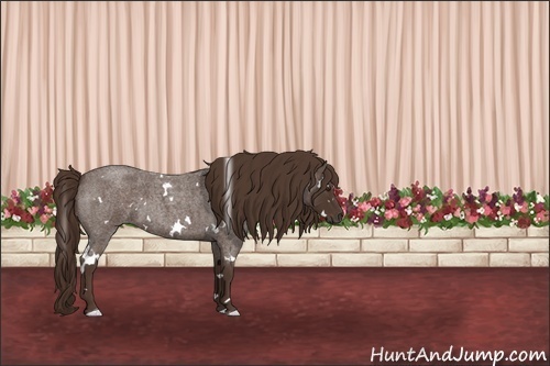 Horse Color:White Spotted Liver Red Roan