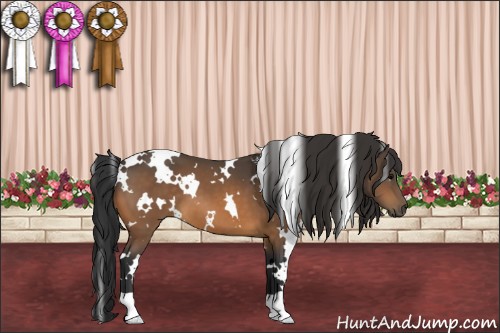 Horse Color:White Spotted Buckskin