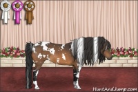 Horse Color:White Spotted Buckskin