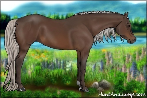 Horse Color:Silver Brown 