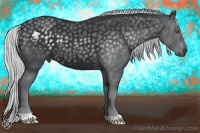 Horse Color:Silver Black Chinchilla 