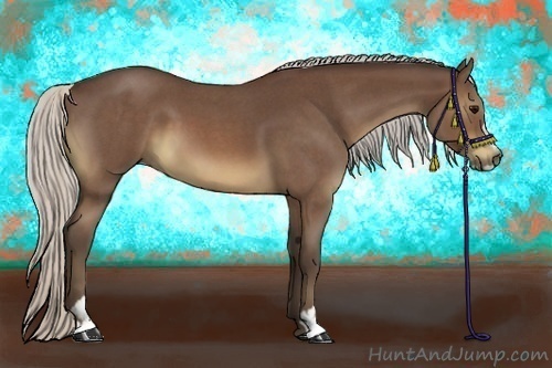Horse Color:Silver Brown Roan Sabino 