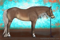 Horse Color:Silver Brown Roan Sabino 