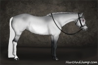 Horse Color:Silver Brown Chinchilla 