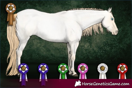 Horse Color:Buckskin Roan Pearl Dun 