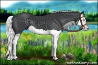 Horse Color:Silver Black Chinchilla Splash