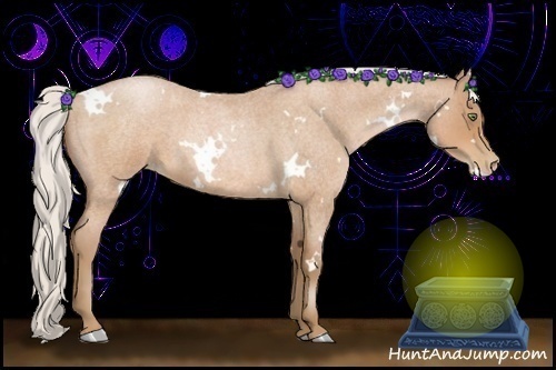 Horse Color:White Spotted Silver Brown Roan Pearl