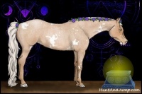 Horse Color:White Spotted Silver Brown Roan Pearl