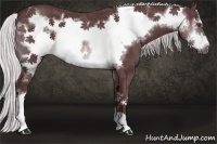 Horse Color:Chocolate Silver Brown Chinchilla Frame