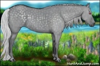 Horse Color:Silver Grullo Chinchilla