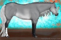 Horse Color:Silver Brown Chinchilla Dun 