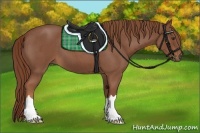 Horse Color:Red Roan 
