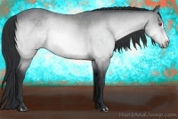Horse Color:Bay Chinchilla Frame 