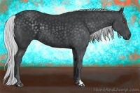 Horse Color:Silver Black Chinchilla 