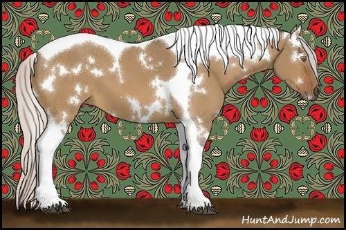 Horse Color:White Spotted Silver Bay Dun Tobiano 