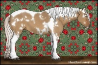 Horse Color:White Spotted Silver Bay Dun Tobiano 