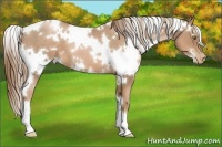 Horse Color:White Spotted Liver Chestnut Pearl 