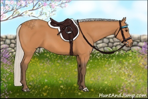 Horse Color:Silver Bay 