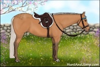 Horse Color:Silver Bay