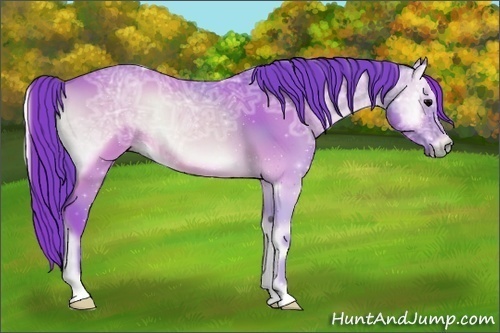 Horse Color:Watercolor Brown Ice Onyx 