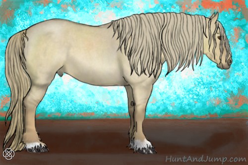 Horse Color:Red Dun Roan Mushroom 