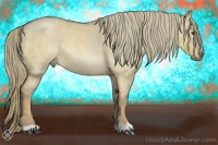 Horse Color:Red Dun Roan Mushroom 