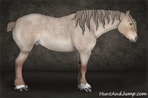 Horse Color:Liver Red Dun Roan 