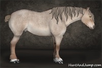 Horse Color:Liver Red Dun Roan